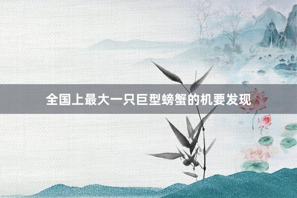 全国上最大一只巨型螃蟹的机要发现